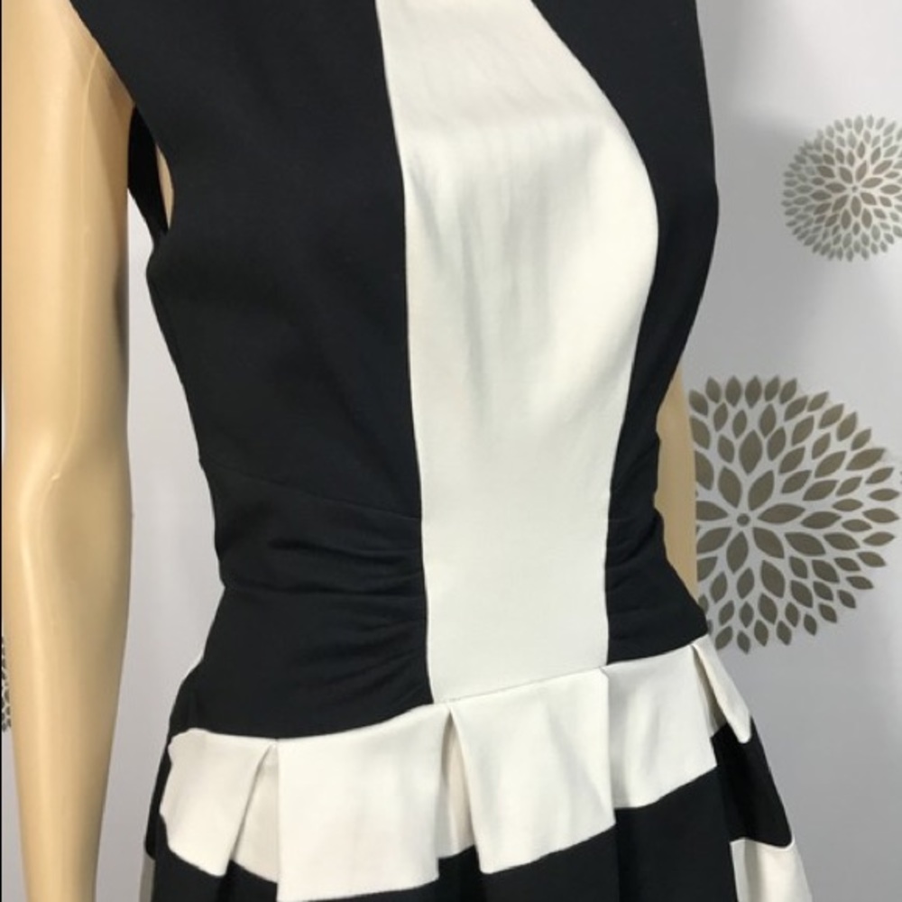 Eva Franco B&W Anthropologie Strata Cocktail Dress - Picture 4 of 8